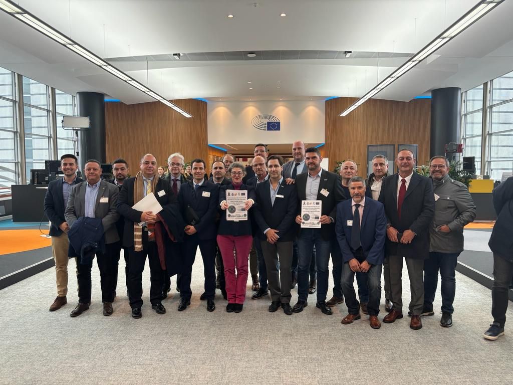 Plataforma Equiparación Salarial  y Jubilación Digna de Guardias civiles y Policías en el Parlamento Europeo.