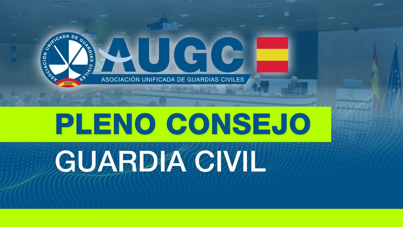 Pleno Consejo Junio 2025