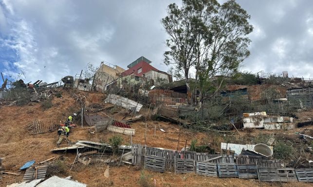 WhatsApp Image 2025 09 09 at 10.56.03