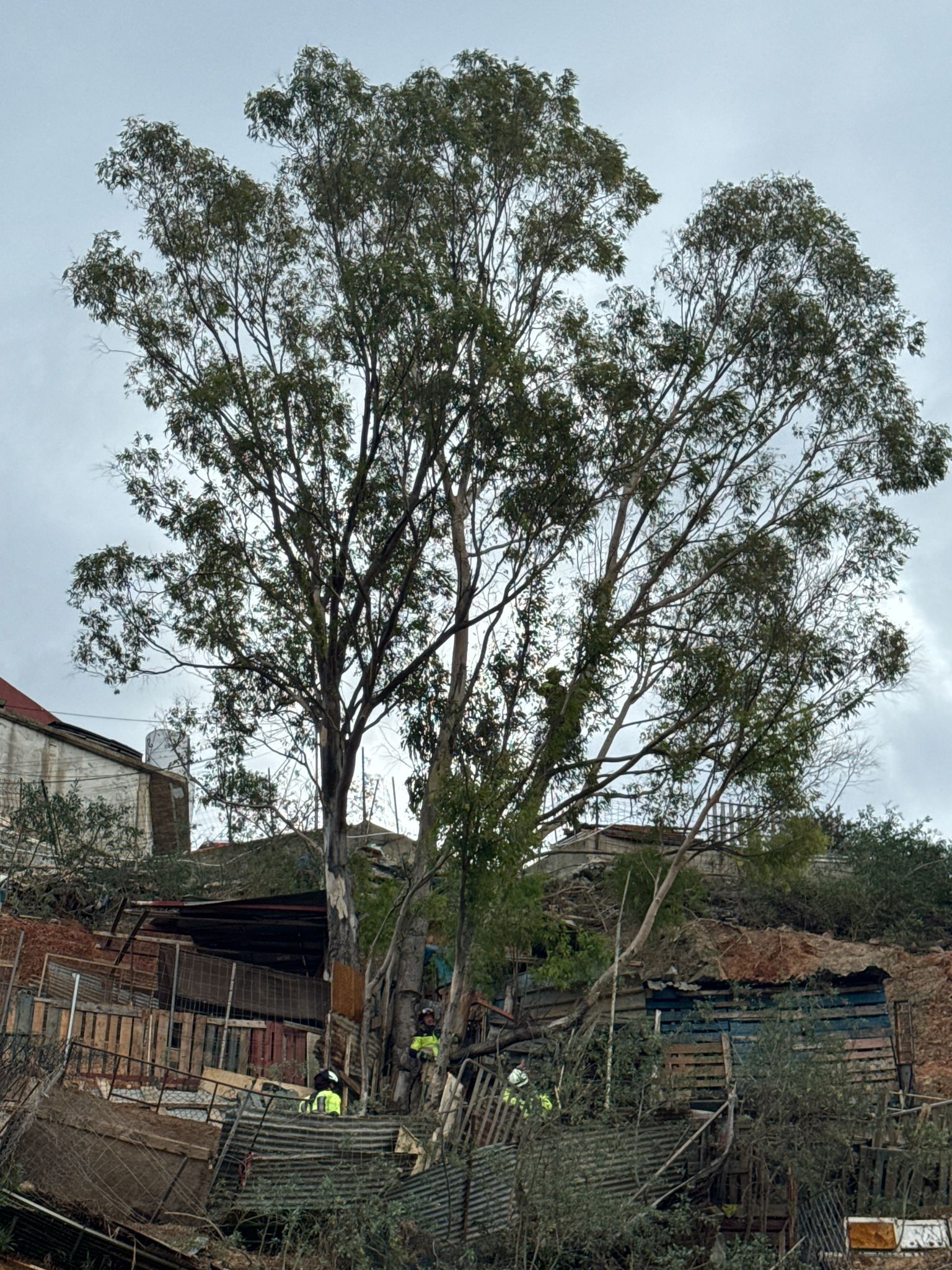 WhatsApp Image 2025 09 09 at 10.56.02