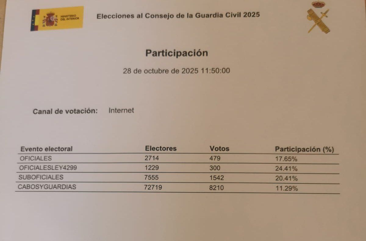 participación elecciones 28 de octubre 2025