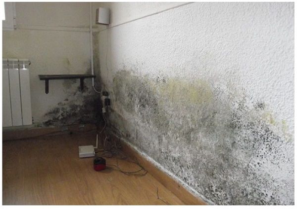 Pared con humedades. Pared con humedades.
