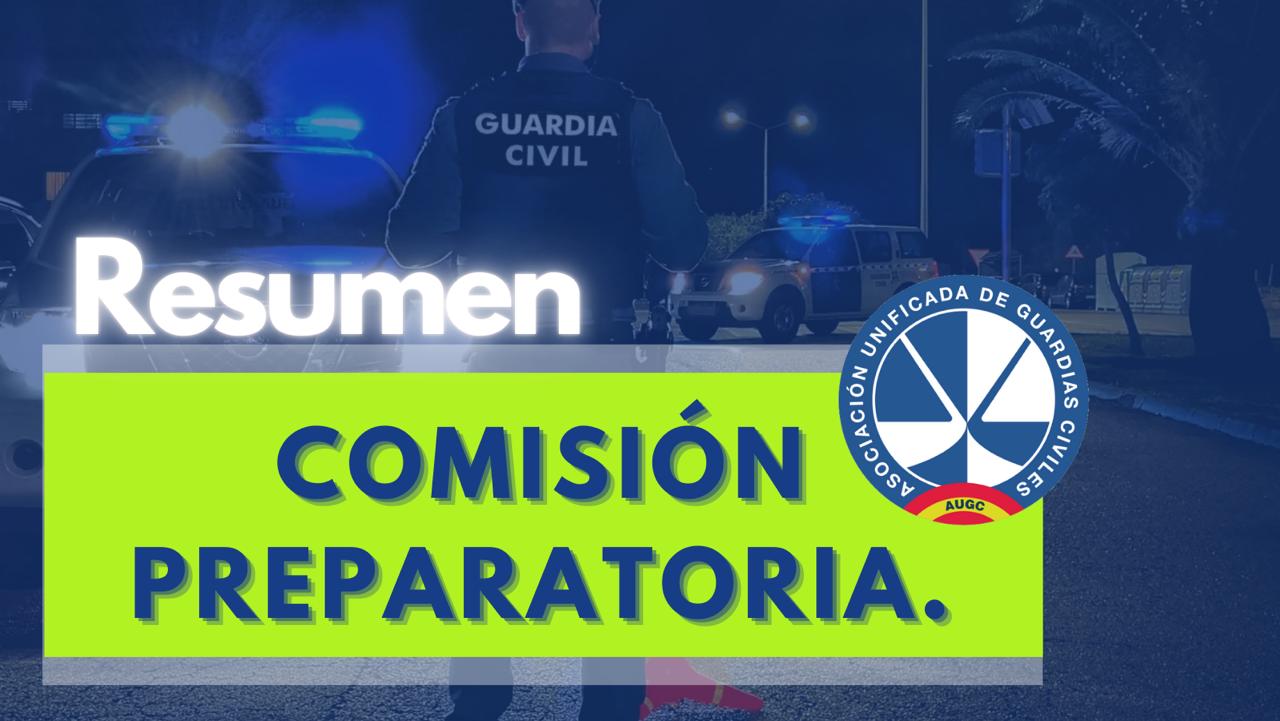 Resumen Comisión Preparatoria. 