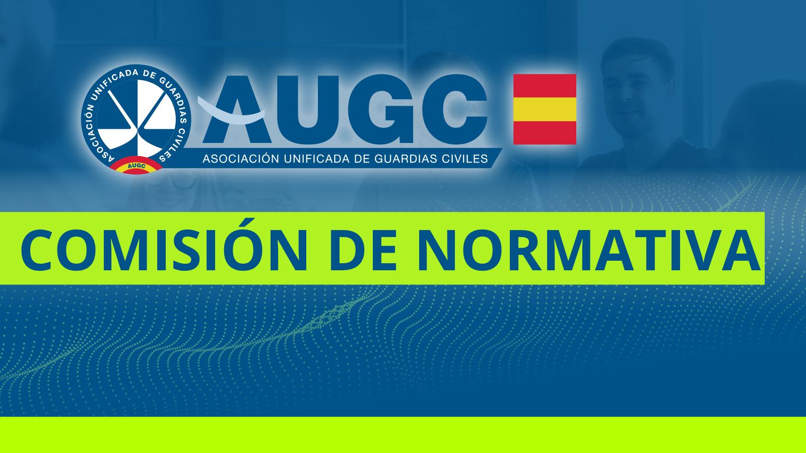 Comisión de Normativa