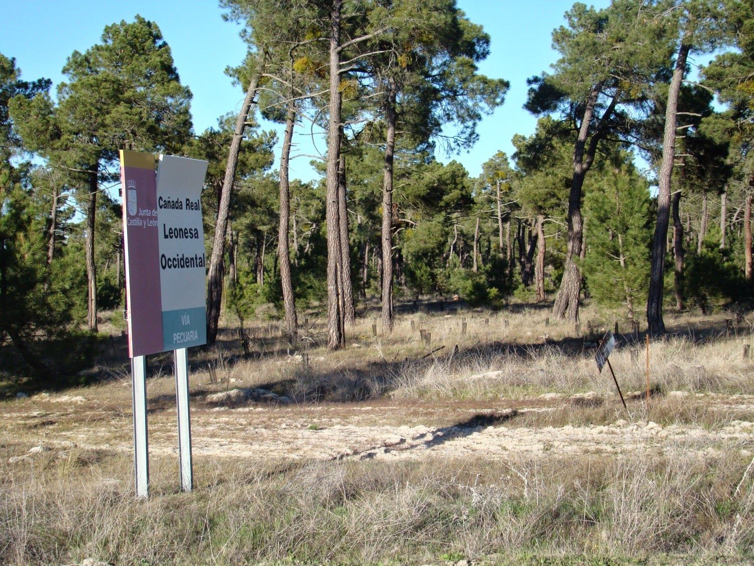 Cañada Real Leonesa