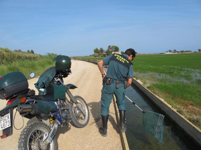 Un agente del Seprona examina una acequia.