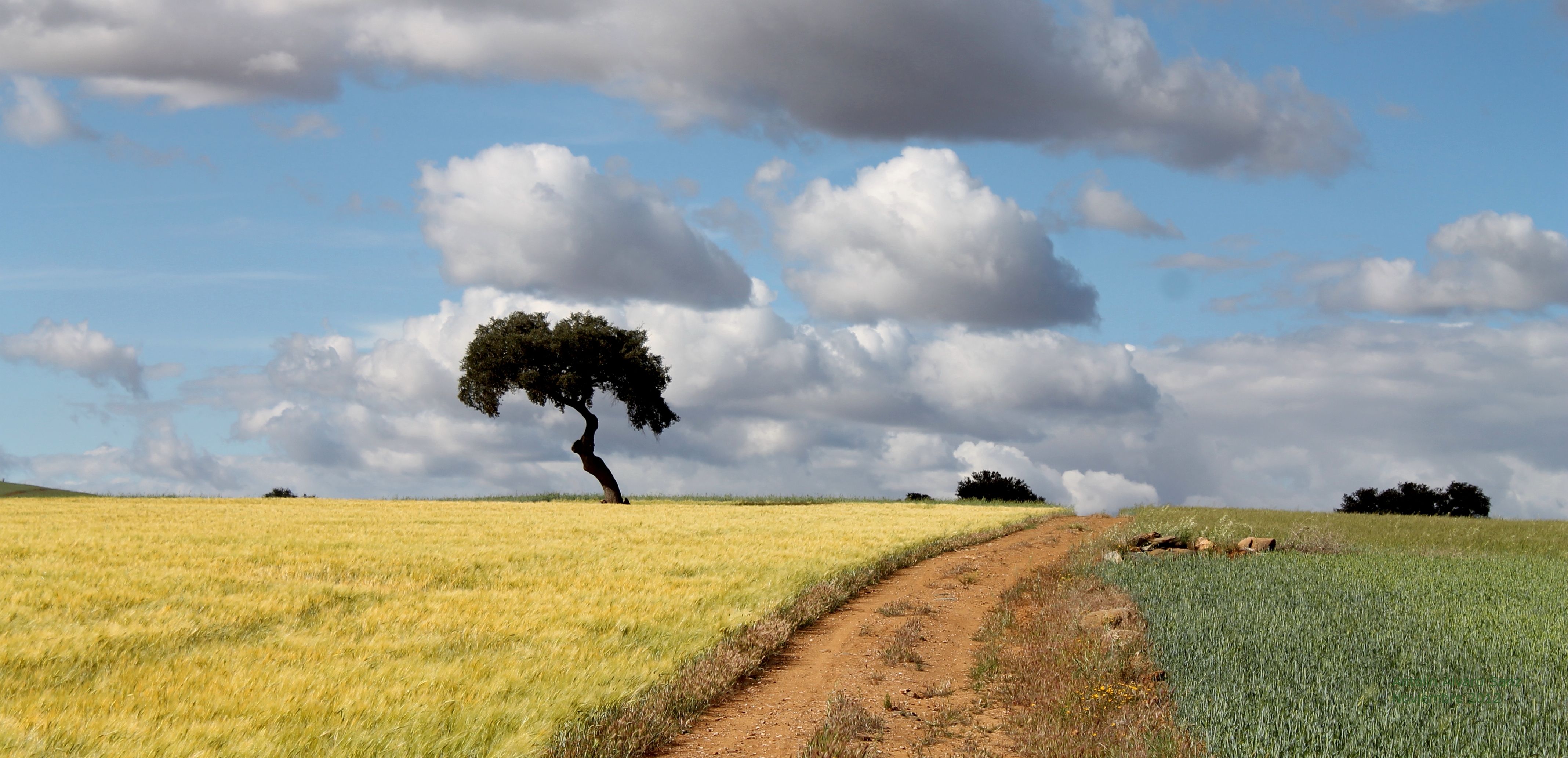 Paraje conocido como Cuesta de Badija, en el término municipal de Castuera (Badajoz) Foto tomada de Blog Ecléctico de Antolo Mágico