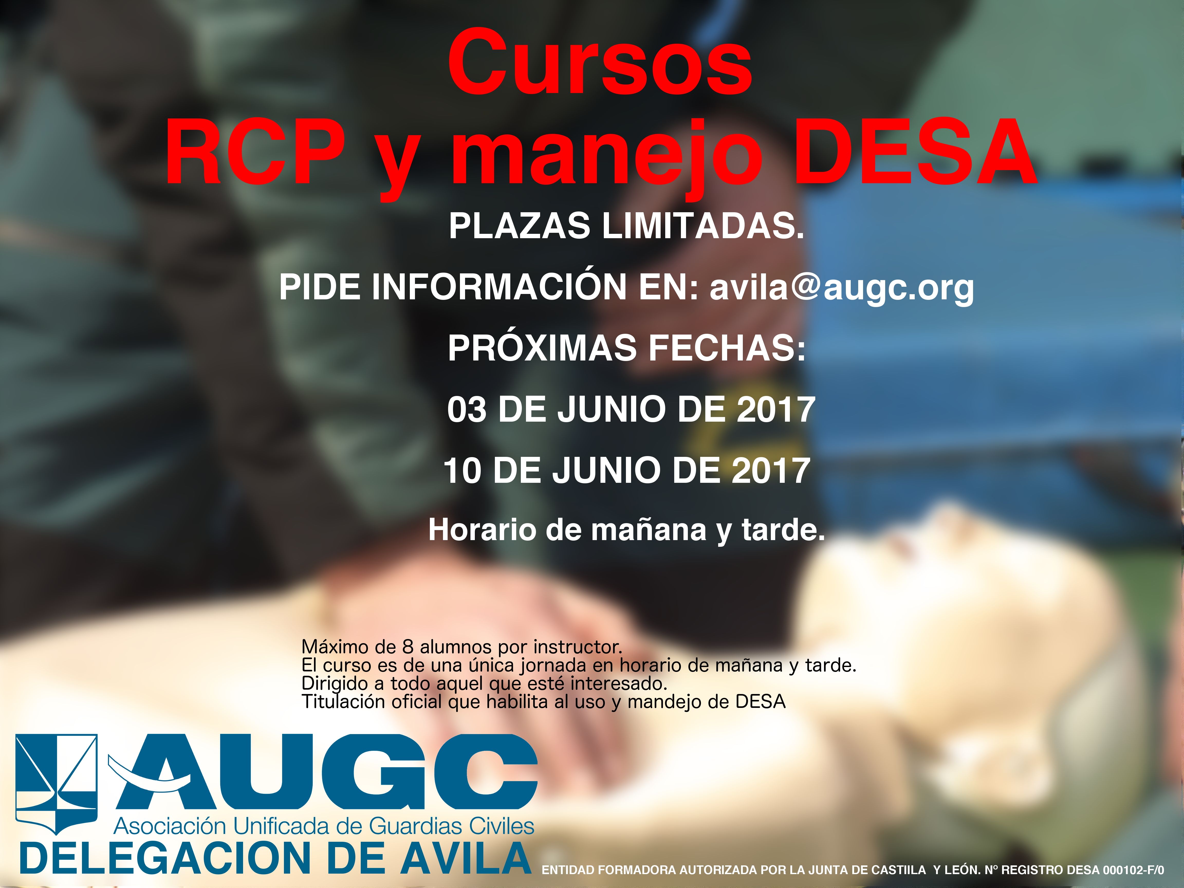 Cartel Curso DESA