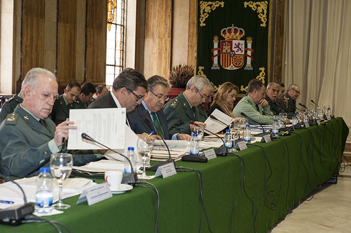 El último Pleno del Consejo fue presidido por el ministro del Interior, Juan Ignacio Zoido.