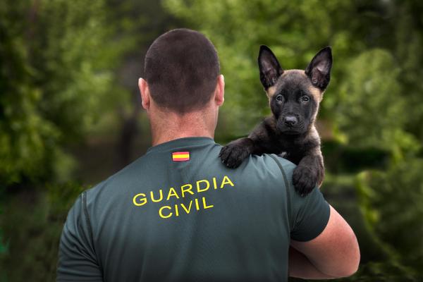 Un guía cinológico de la Guardia Civil con un cachorro.
