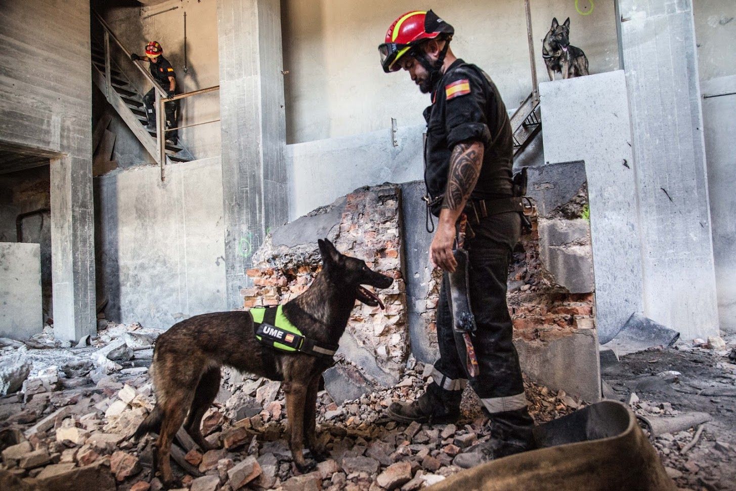 Fotografía ganadora del certamen: 'El mejor amigo del hombre', obra del madrileño Javier Urbón. ,