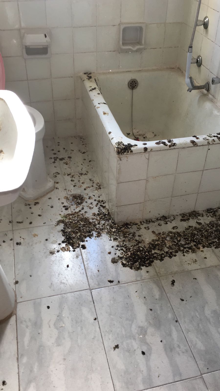 Aspecto de una de las viviendas asignadas a guardias civiles.