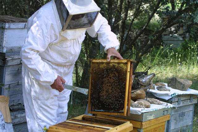 Uno de los guardias civiles había solicitado compatibilizar su trabajo con la apicultura.