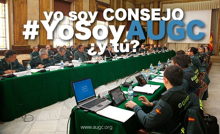 Pleno del Consejo