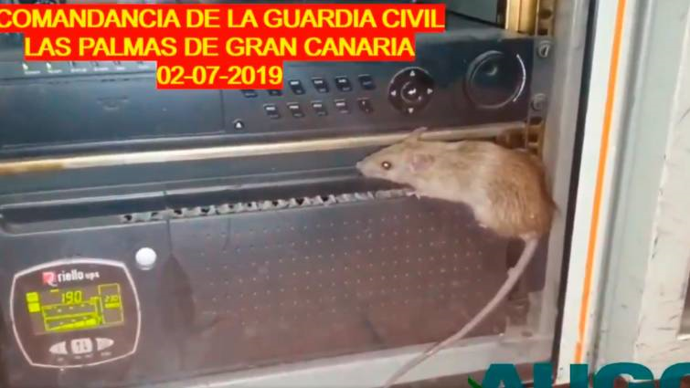 Captura del vídeo donde se ve a un ratón sobre una emisora de radio de la Comandancia de Las Palmas.