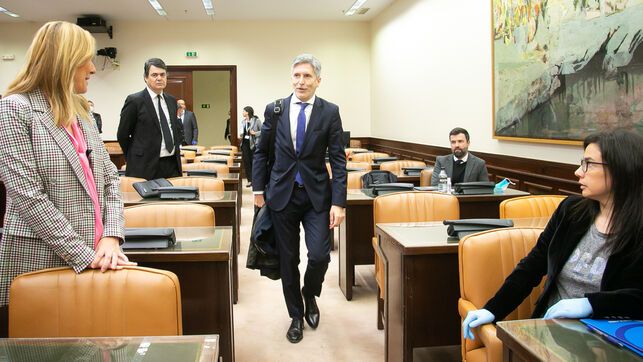 Fernando Grande Marlaska, a su llegada a la Comisión de Interior del Congreso.