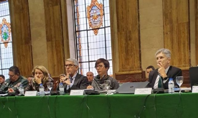 Imagen del pleno del Consejo celebrado el pasado enero, bajo la presidencia del ministro del Interior.