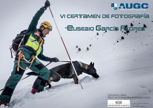 Cartel de la VI edición del concurso, con la imagen ganadora del año anterior.