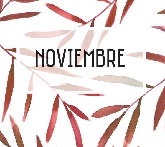 noviembre noviembre