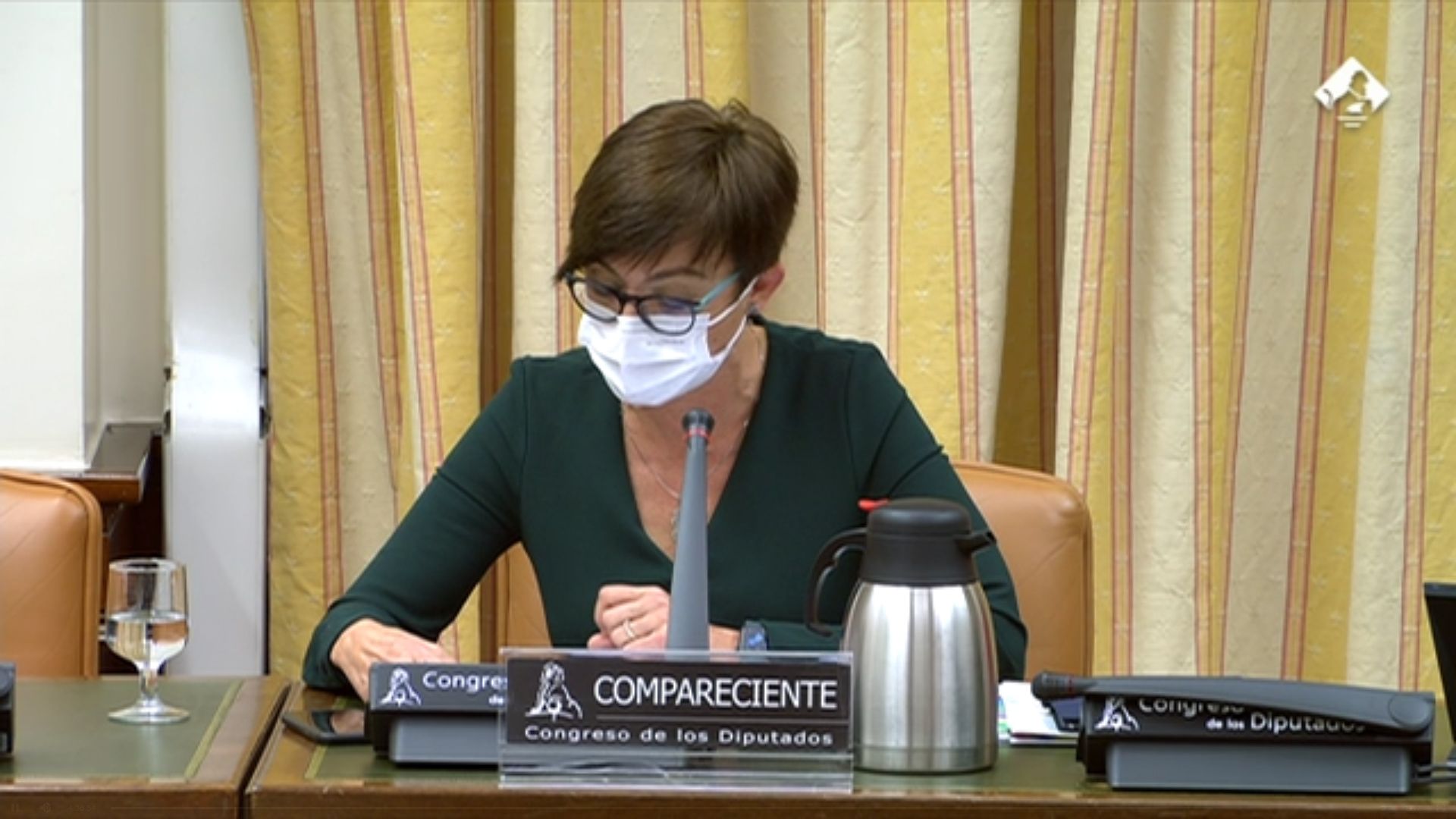 Comparecencia de la Directora General de la Guardia Civil ante la Comisión de Interior del Congreso de los Diputados.