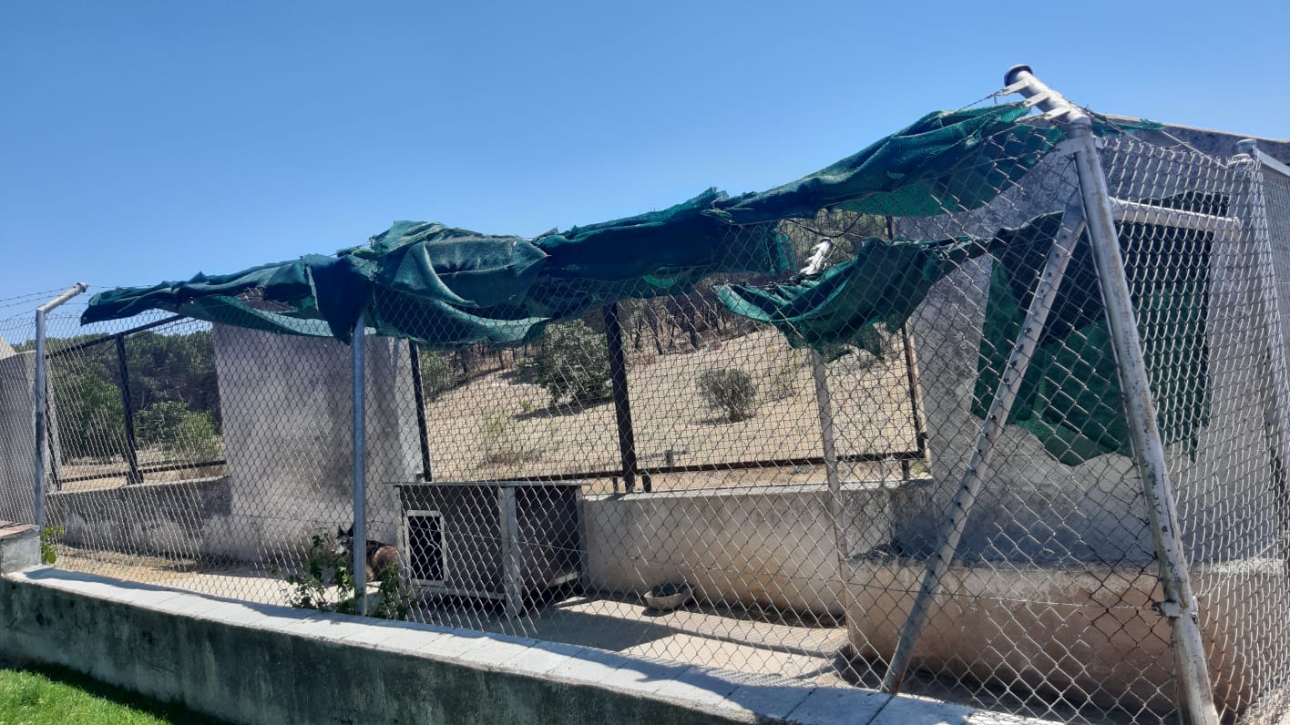 Estado de las instalaciones de los perros de la Guardia Civil en El Pardo.
