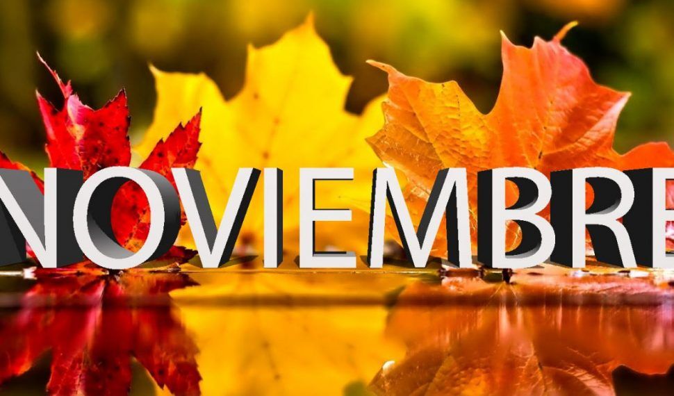 Noviembre 2021