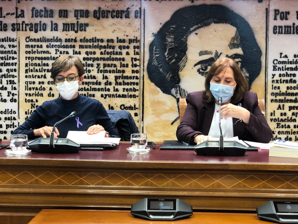 María Gámez, durante su comparecencia en el Senado.
