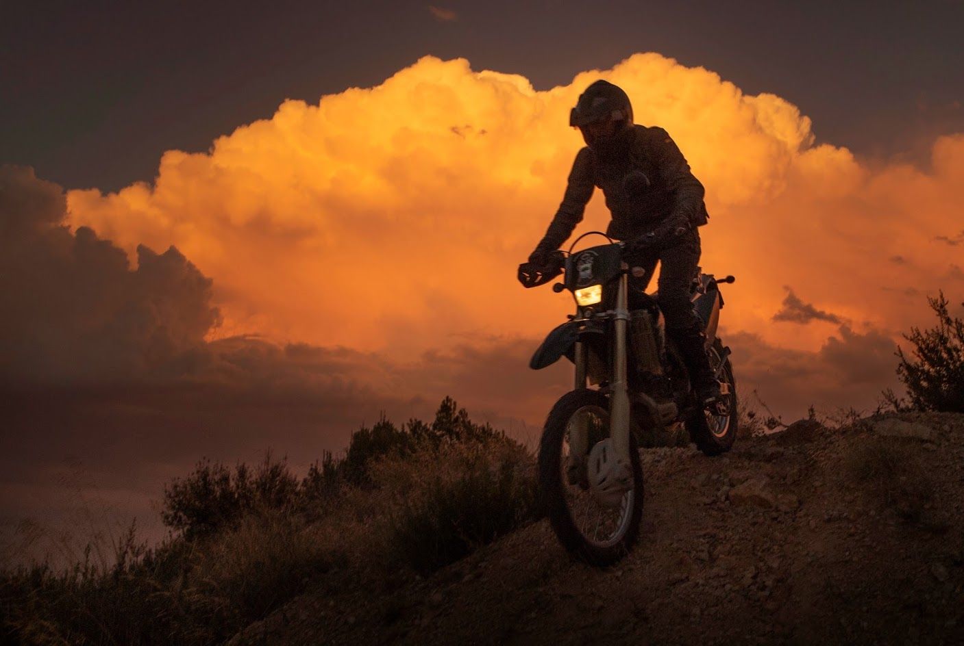 Un agente del Seprona.