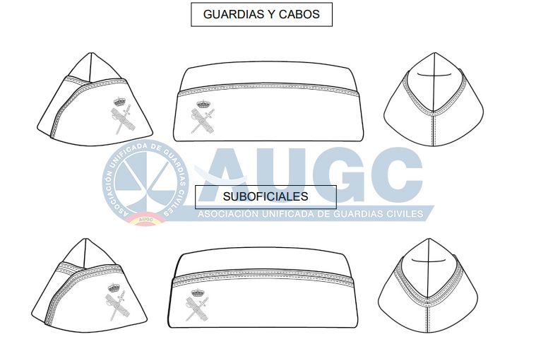 Mientras que no pase por el Consejo, debe paralizarse la licitación de los gorros para la especialidad. Es injustificable que no se destinen esos 107.251,38 euros en material que garantice la seguridad y la salud de los Guardias Civiles.