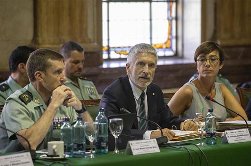 El ministro del Interior, Fernando Grande-Marlaska, presidió ayer el Pleno del Consejo acompañado por la directora general de la Guardia Civil, María Gámez. Fotografía: Ministerio del Interior.